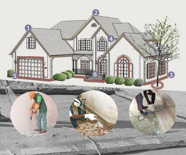 Post-Construction Pest Control Services